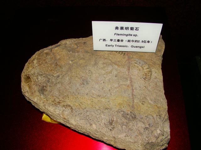 DSC07108.JPG