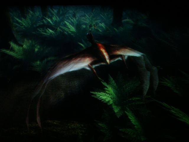 DSC07138.JPG