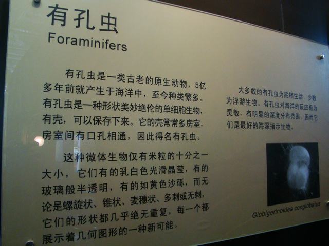 DSC07151.JPG