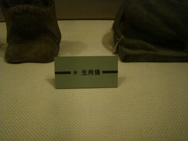 DSC06406.JPG