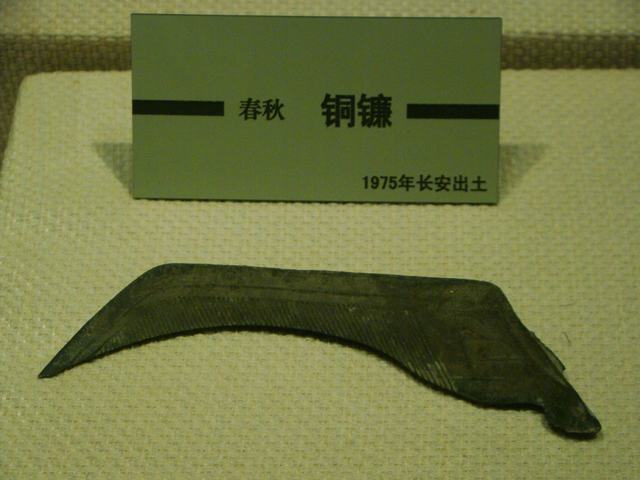 DSC06420.JPG