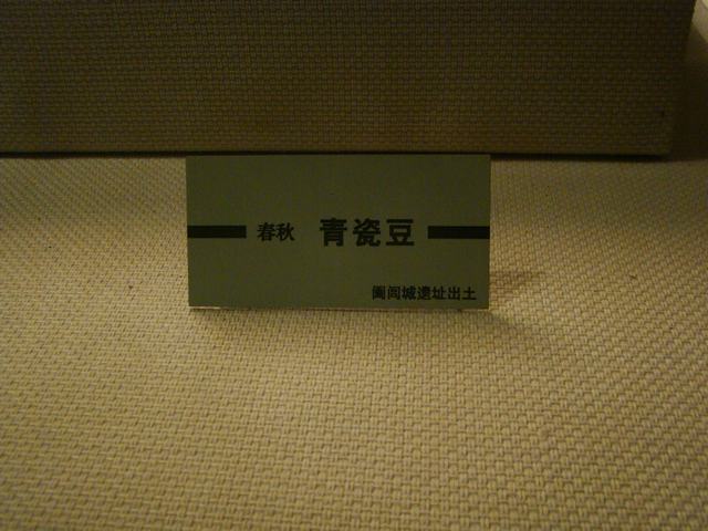 DSC06424.JPG