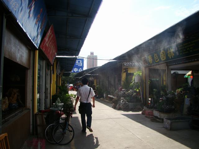 DSC07201.JPG
