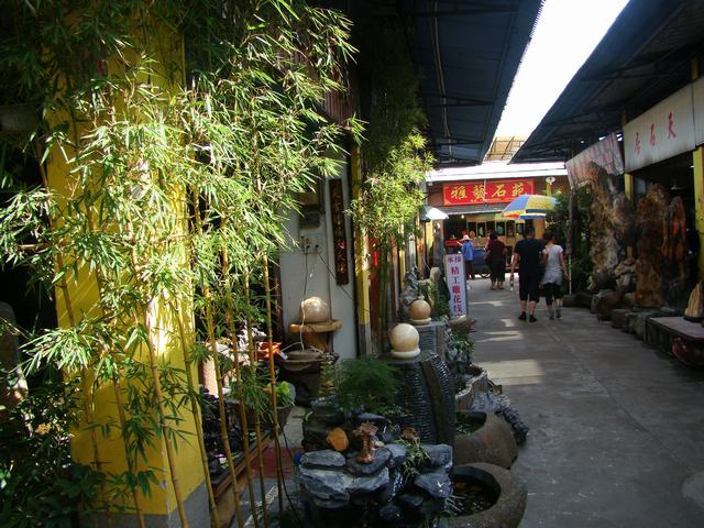 DSC07205.JPG