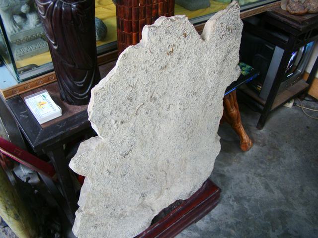 DSC07212.JPG