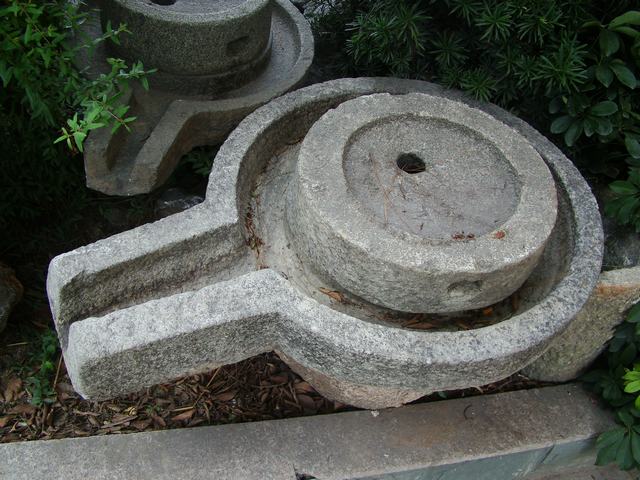DSC07217.JPG