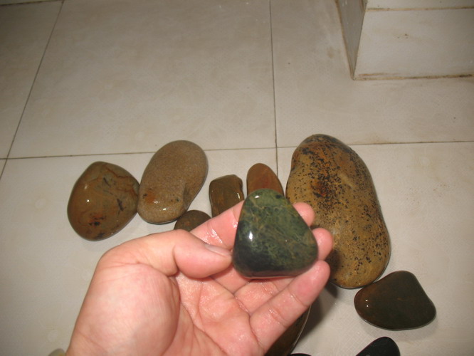 照片 073.jpg