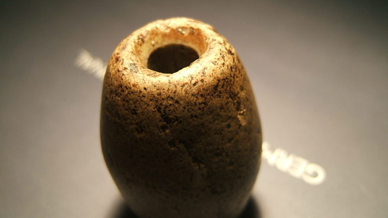 大个勒子 (2).JPG