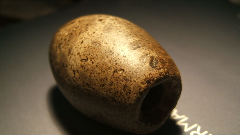 大个勒子 (1).JPG