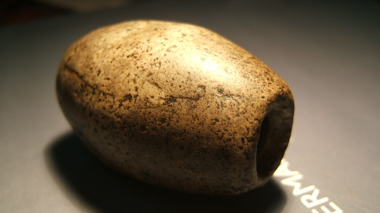 大个勒子.JPG