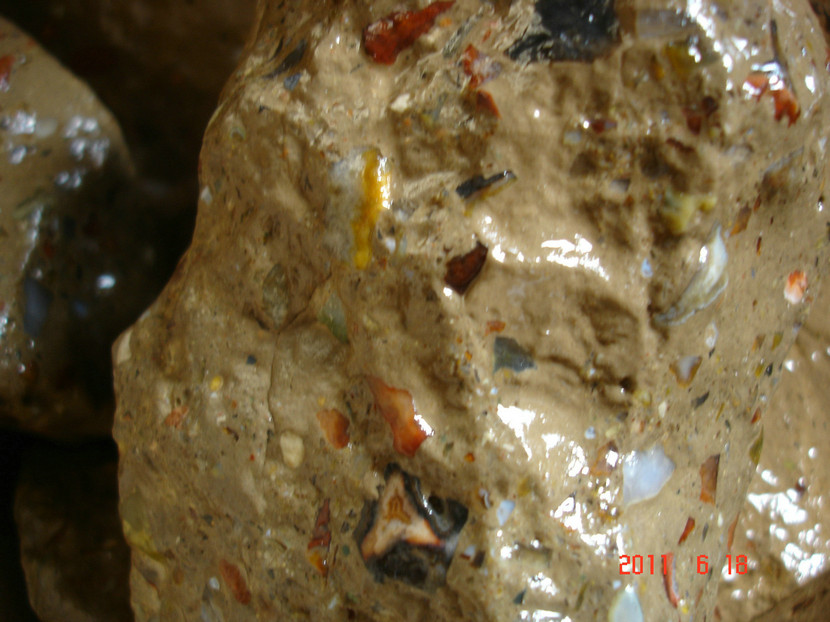 DSC07962.JPG