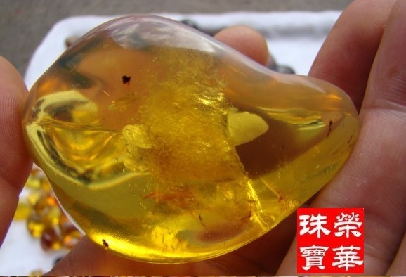 这批里的细图