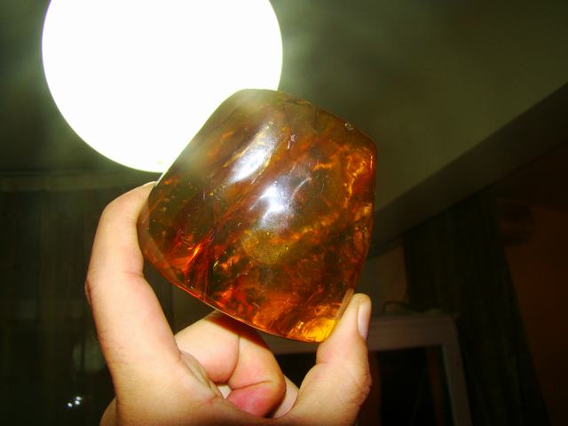 DSC07563.JPG
