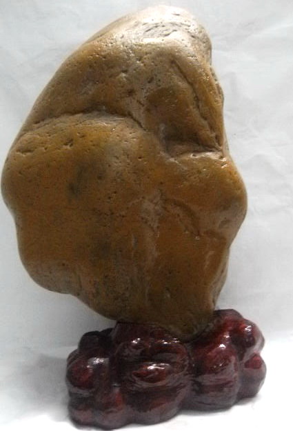 2011.4.3 206.jpg