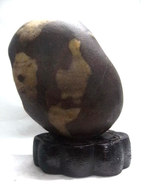 2011.4.3 245.jpg