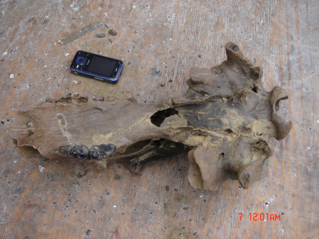 DSC01385.JPG