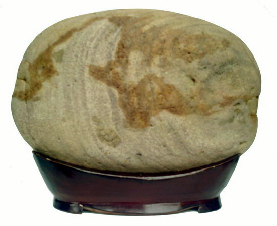照片2008 002.jpg