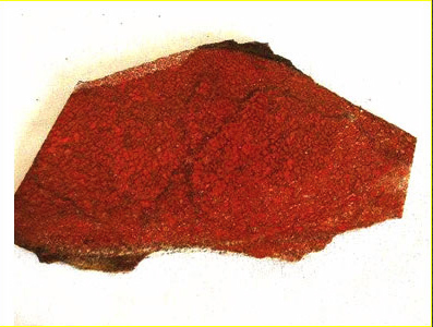 red blood cells in agatized dino bone.jpg