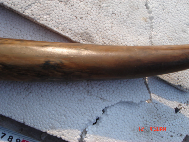 DSC01470.JPG