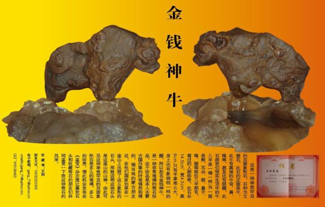 举世罕见的双面象形石