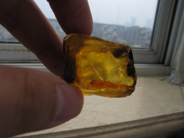 照片 582.jpg