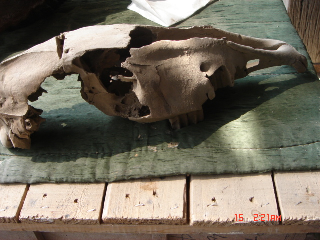 DSC01502.JPG