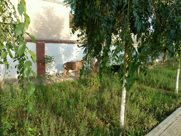 P1080665.JPG