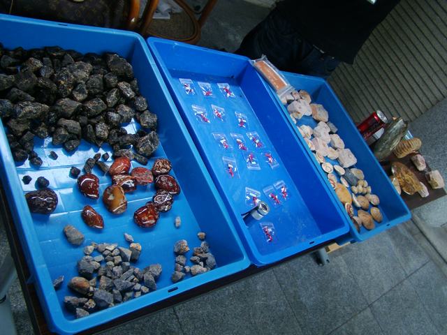 DSC08065.JPG