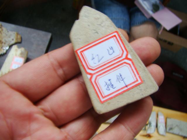 DSC08335.JPG