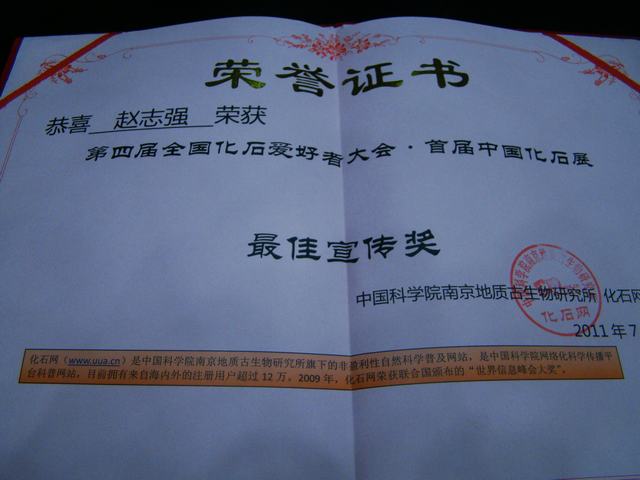 DSC08460.JPG