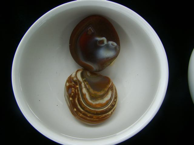 DSC08503.JPG