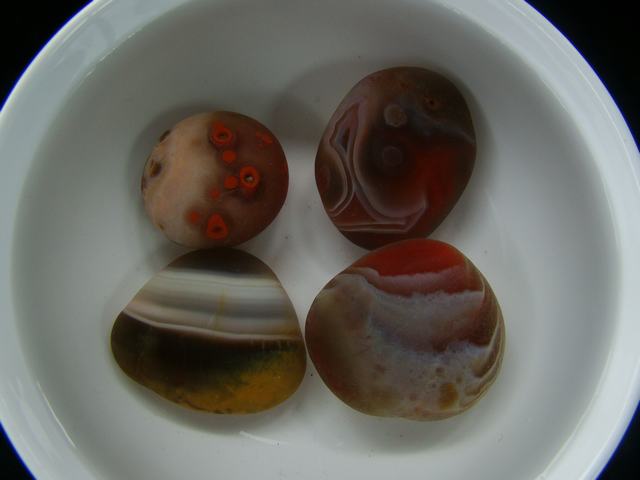 DSC08515.JPG