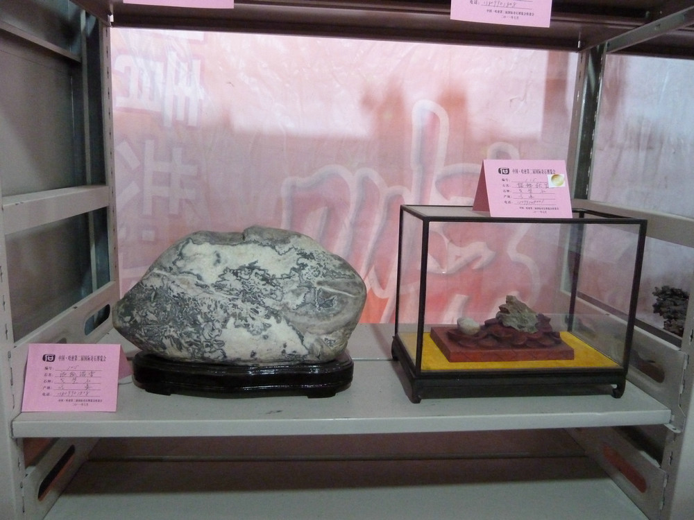 P1090102.JPG