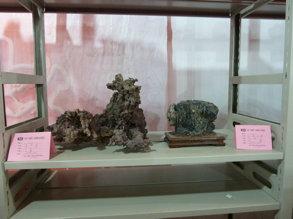 P1090104.JPG