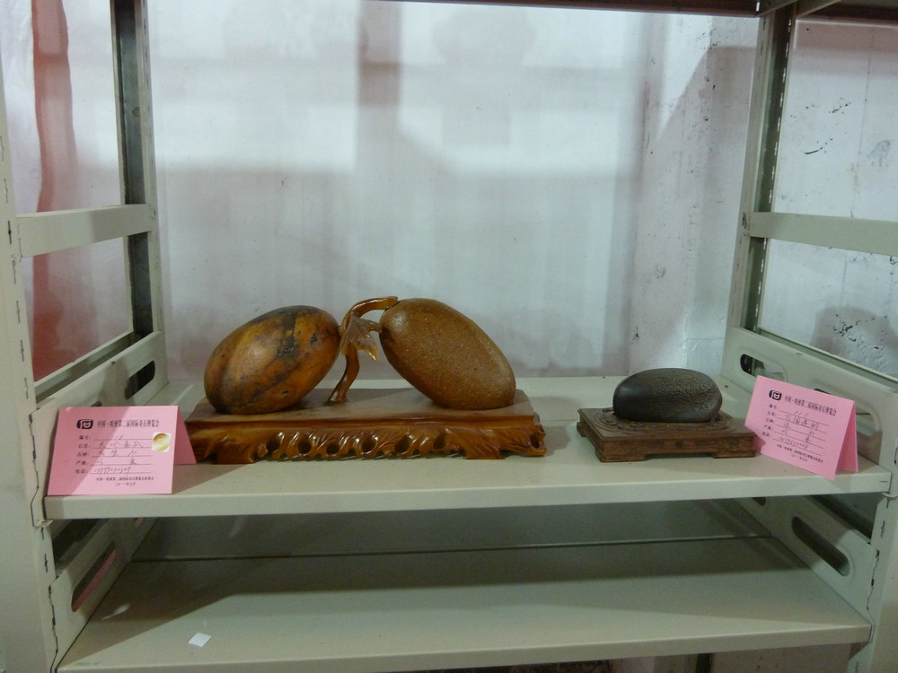 P1090106.JPG