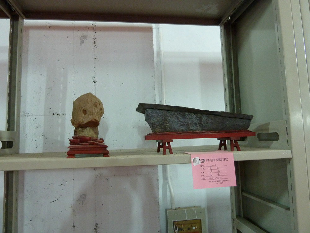 P1090107.JPG