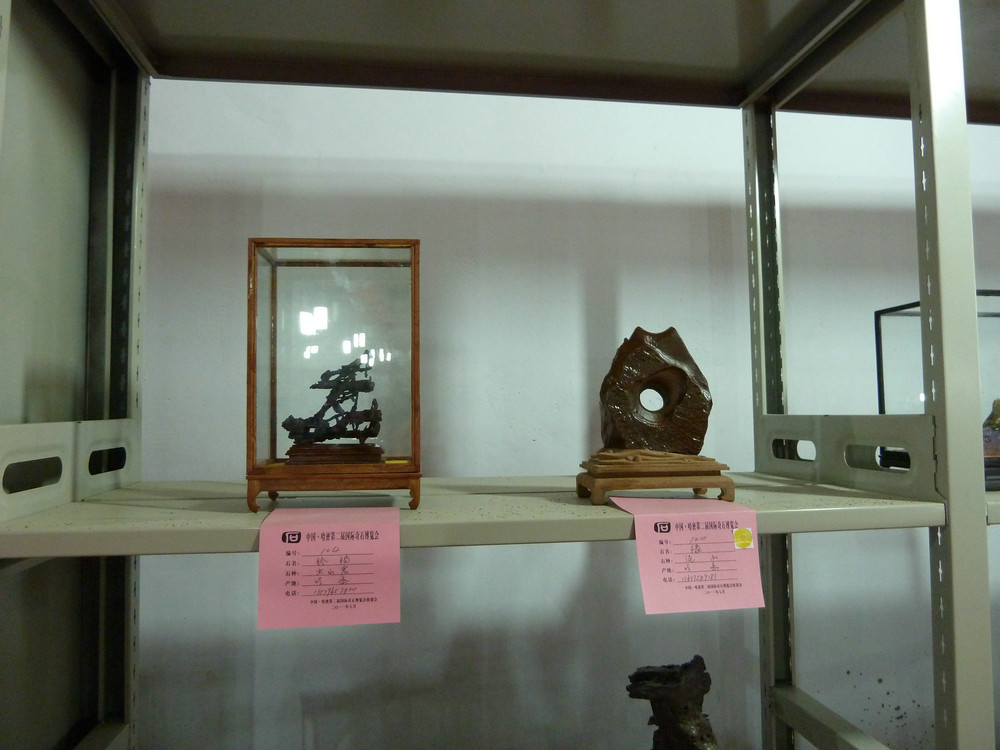 P1090109.JPG