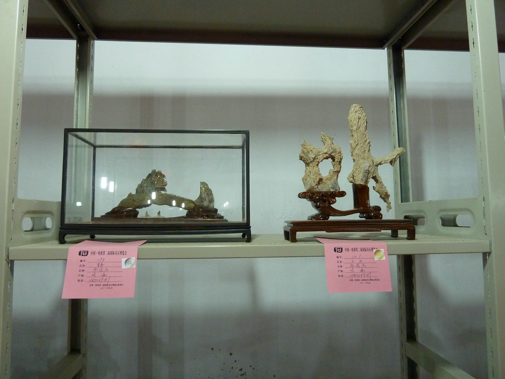 P1090111.JPG