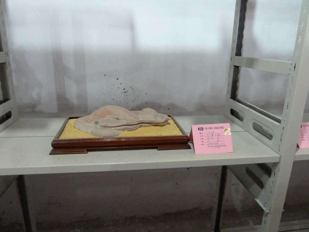 P1090112.JPG