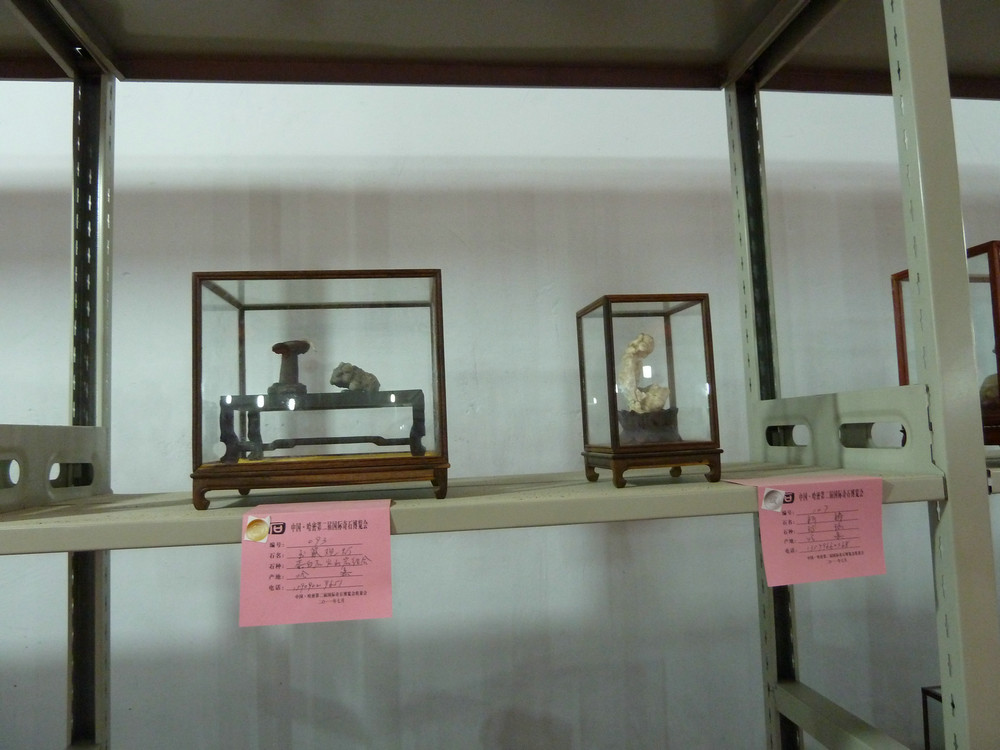 P1090113.JPG