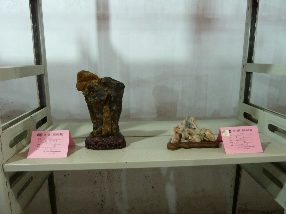 P1090114.JPG