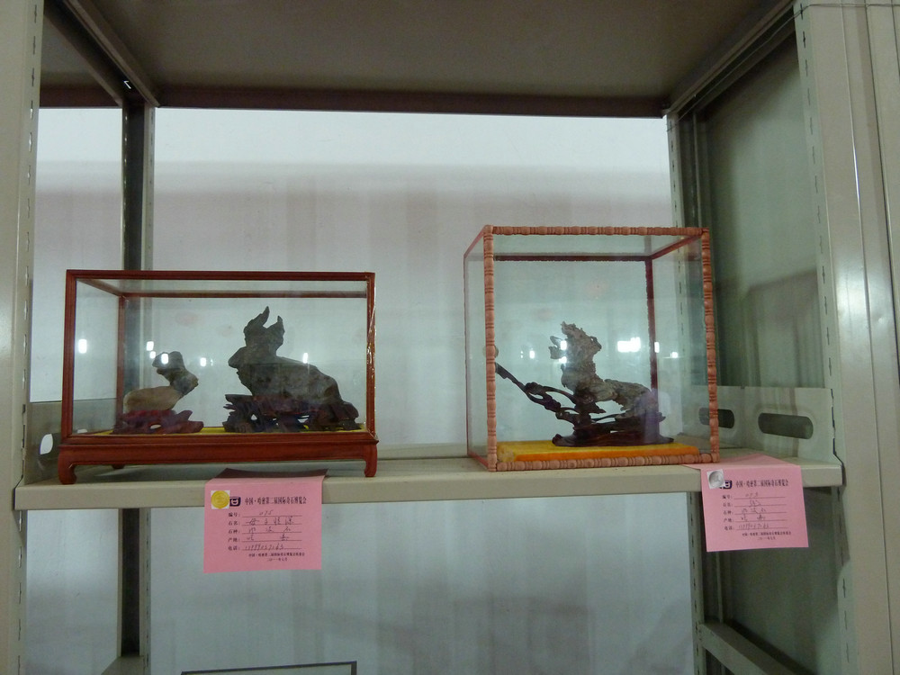 P1090115.JPG