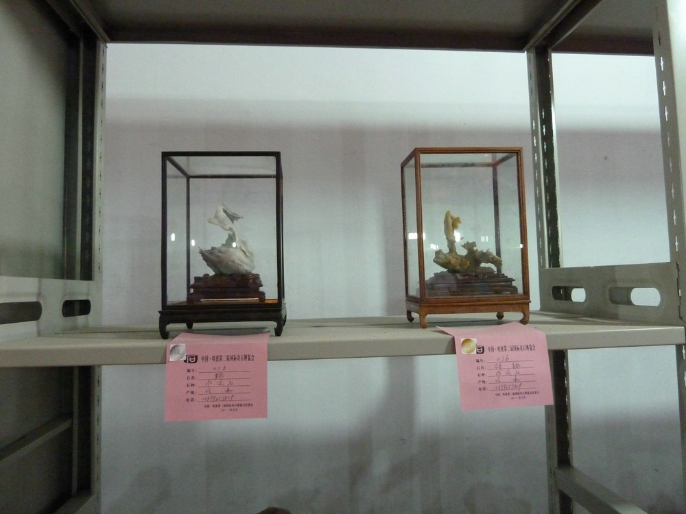 P1090117.JPG