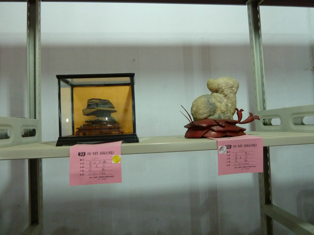 P1090119.JPG