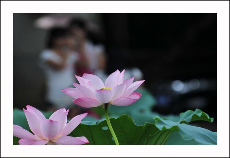 未标题-4.jpg