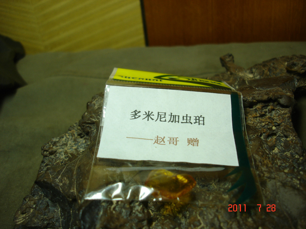 DSC08530.JPG