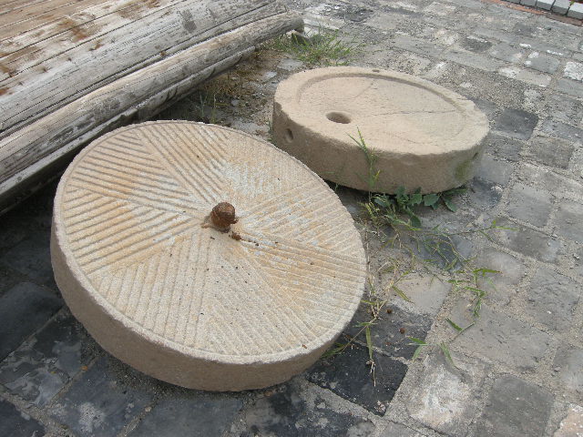 DSCN4687.JPG