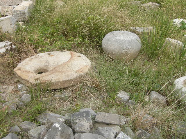 DSCN4684.JPG