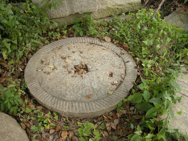 DSCN4686.JPG