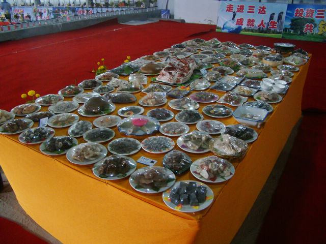 DSC08798.JPG